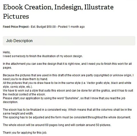 Example job description for ebook illustrator