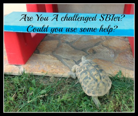 Are you a SBI tortoise that needs help with the next hump?