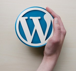 WordPress Conversion Service